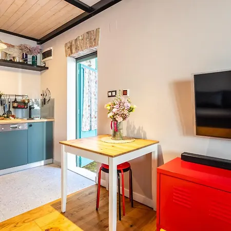 We Collect Umbrellas