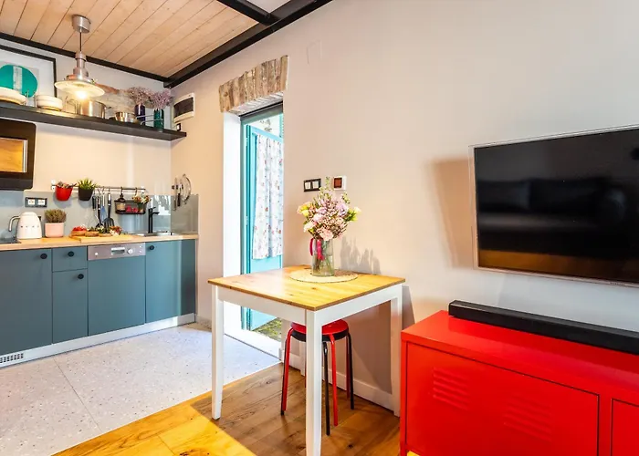 We Collect Umbrellas